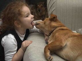 o neno bica ao can e inféctase de parasitos